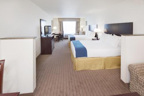 Holiday Inn Express & Suites - Omaha I - 80, an IHG Hotel