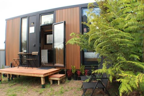 Cozy Cabin2 at Dairy Flat Farm in Waitoki