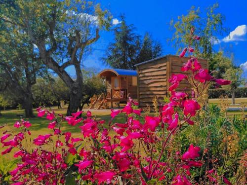 Roulotte authentique avec piscine chauffée et petit-déjeuner inclus - FR-1-591-619 gîte à louer La Pignolière
