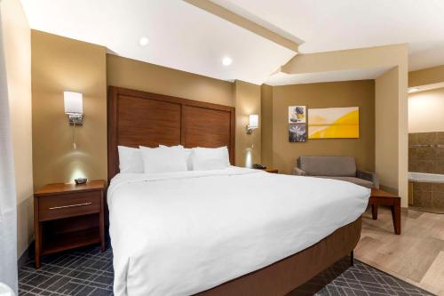 Comfort Suites Monaca - image 6