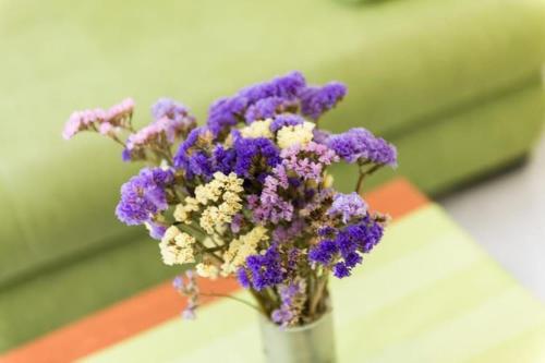 Apartments & Rooms Tapera- Standard One Bedroom Apartment with Terrace and Garden View