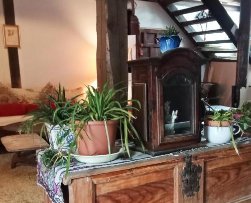Közös társalgó / TV, Suite en cuadra pajar, casa Rural in Bubal