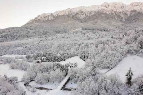 Villa & Spa Plaiul Foii - Sierra Blanca, Zărneşti (Foto 10)