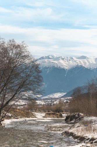 Villa & Spa Plaiul Foii - Sierra Blanca, Zărneşti (Foto 9)