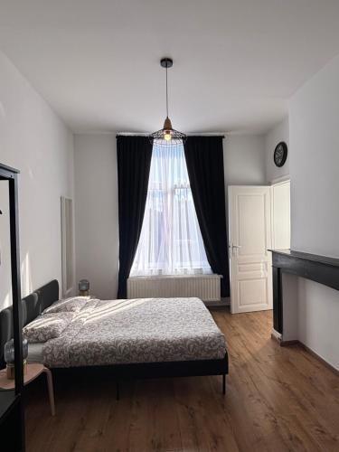 Studio Nahida, Brüssel