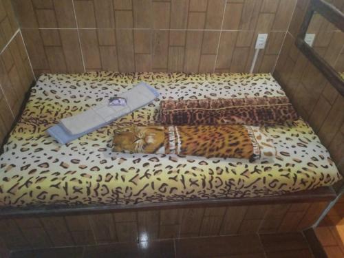 Suíte (Suite) in 帕迪杜阿爾菲雷斯