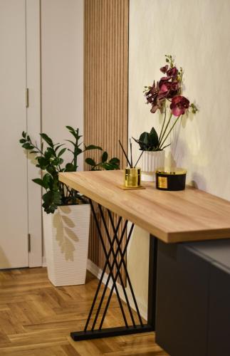 Apartman Vasilisa