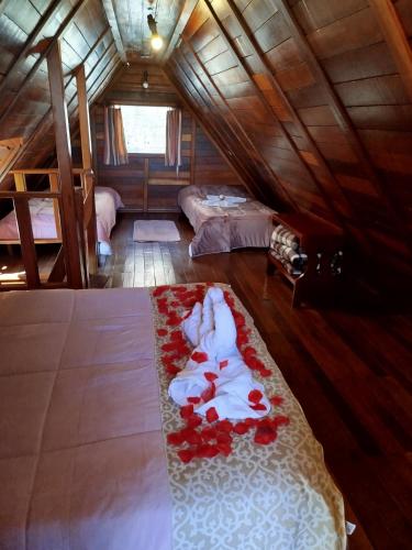Cabanas La Suisse - main image