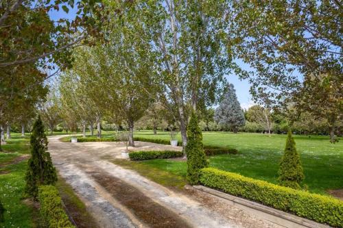 51 Southdown, Martinborough (foto 6)