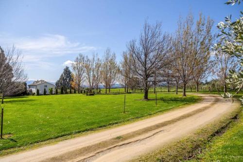 51 Southdown, Martinborough (foto 7)