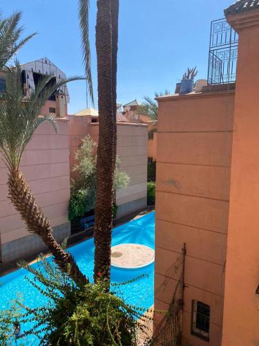 Riad Tichka piscine palmeraie 3