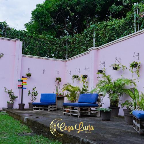 Garden, Hostal Casa Luna in Santa Ana