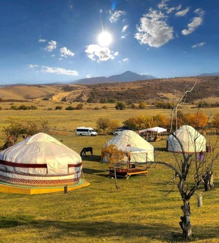 Юрта Qyran, Türgen (foto 4)