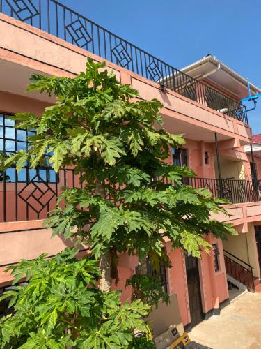 Tsavo Apartments Ogembo Single Room in Ogembo