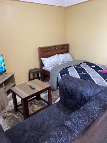 Tsavo Apartments Ogembo Single Room in Ogembo