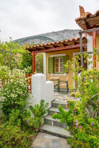 Pleiades Samos in Isomata