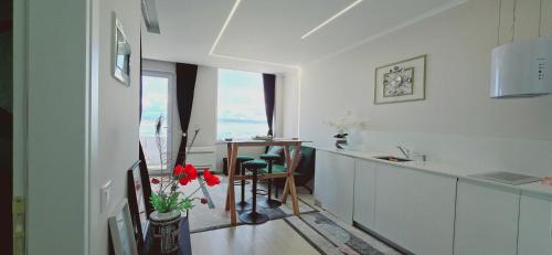 One-Bedroom Apartment image 7