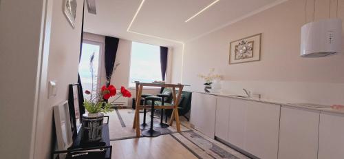 One-Bedroom Apartment image 6