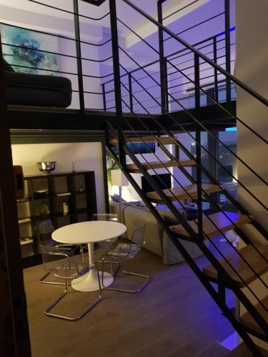 Loft climatisé vue fleuve parking gratuit, Toulouse (fotografie 7)