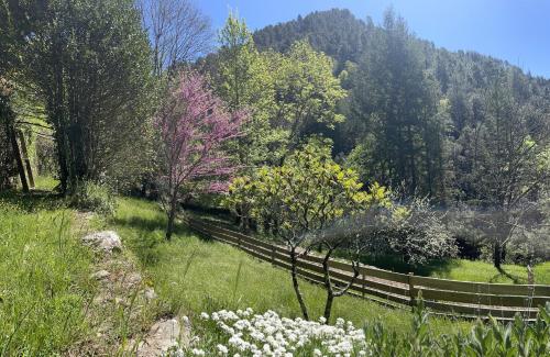 منظر, Lou Grana in Le Collet De Deze