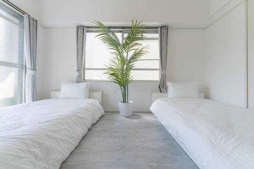 2 min from Nakatsu Station 5person apartment