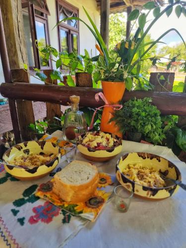 餐飲選擇, Casuta Fermecata, Tara Lapusului in 芬特奈里