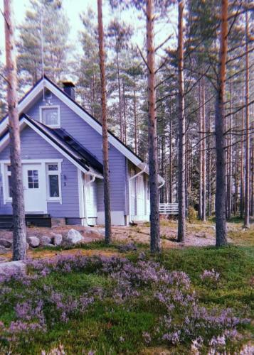 Villa, Kalajoki