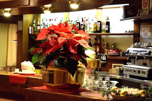 Hotel Vajolet - image 7