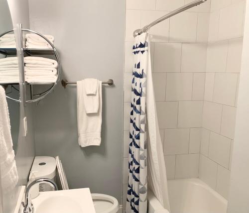 Modern Dog Friendly 1BD-1BA Apt in Federal Hill in Baltimore, USA