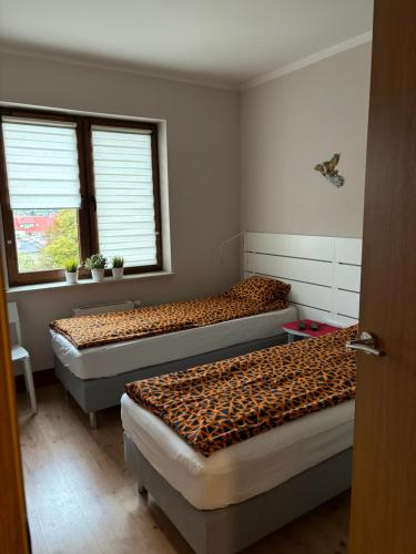 Apartament Józefa