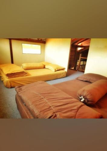 Avrilla Ijen Homestay & Cafe in ลิจิน