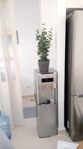 Fresco y cálido apartamento