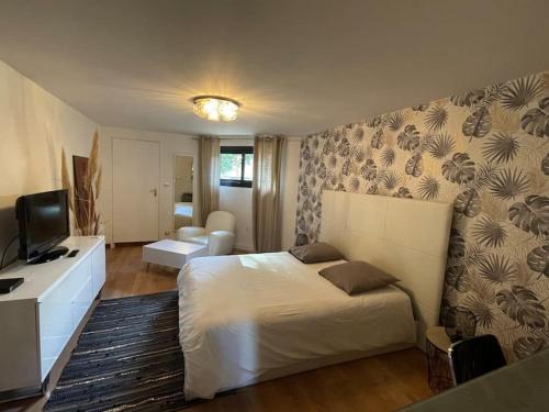 Villa 250 m2, piscine à 10 minutes de Toulouse (Villa 250 m2, piscine a 10 minutes de Toulouse) in Saint-Jean