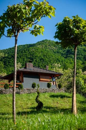 Apartman Dolina Vekova 2