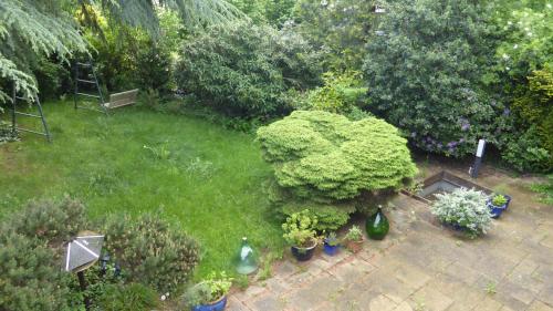 Garden, Großzugiges Architektenhaus in Kronberg in Kronberg im Taunus