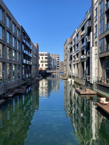 Apartment with canal view, Copenaghen (foto 9)