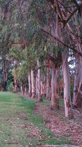 Quinta Casa de Campo in Brandsen