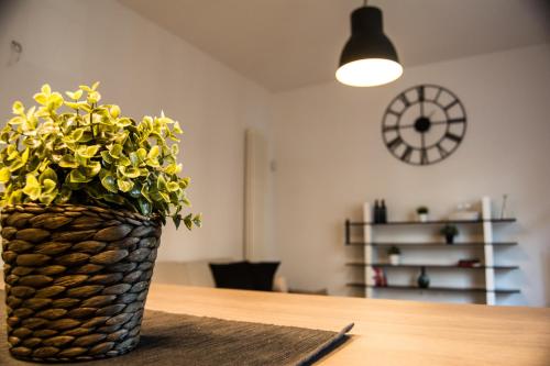 Home In City, Palermo (fotografie 6)