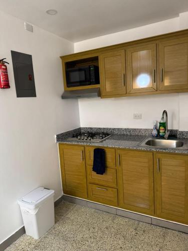 Departamento en el centro in Santiago de los Caballeros