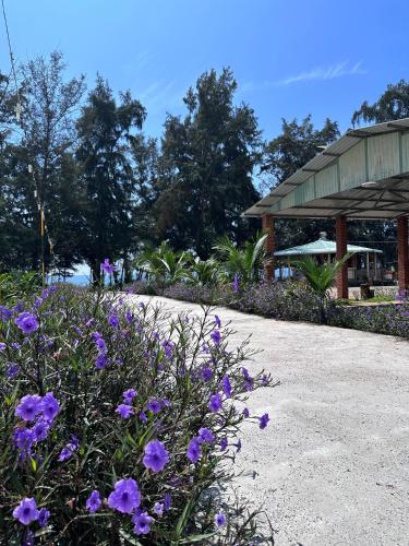 An Thinh Homestay - 정원
