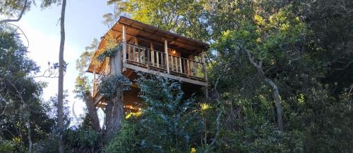 Casiopea Glamping - Villagomez