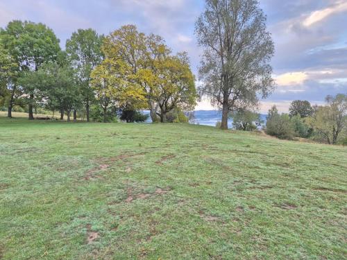 Cabana Morarilor Cabana Morarilor