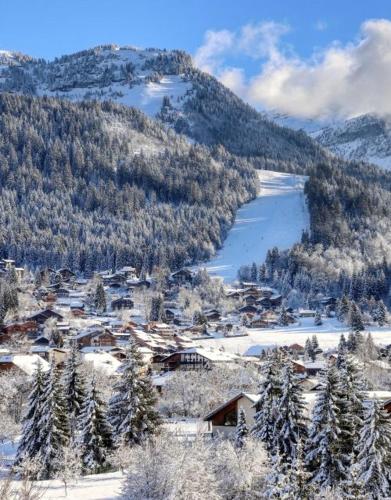 studio station des carroz d'arraches - Location saisonnière - Arâches-la-Frasse