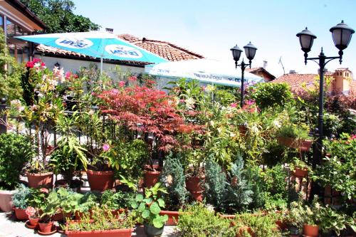 Hotel Alafrangite - image 4
