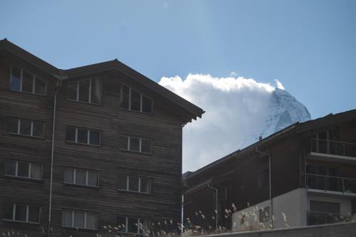 Charming Alpin Violett, Zermatt (fotografie 7)