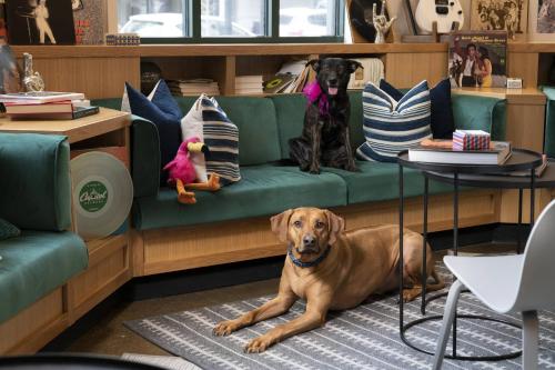 MOXY Memphis Downtown MOXY Memphis Downtown