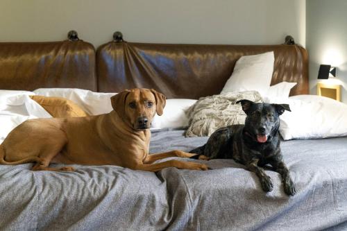 MOXY Memphis Downtown MOXY Memphis Downtown