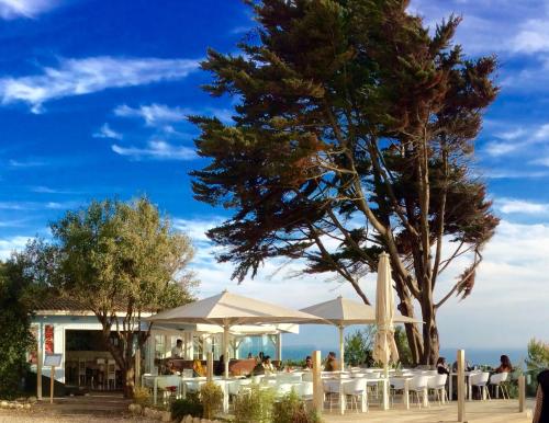 Restaurante, Villa dos Teixos in Marinha