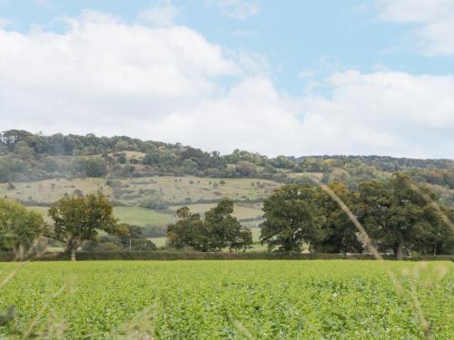 The Coach House Apartment - image 14