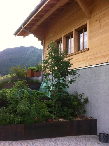 Chalet Park Apartment mit Sauna Hamam